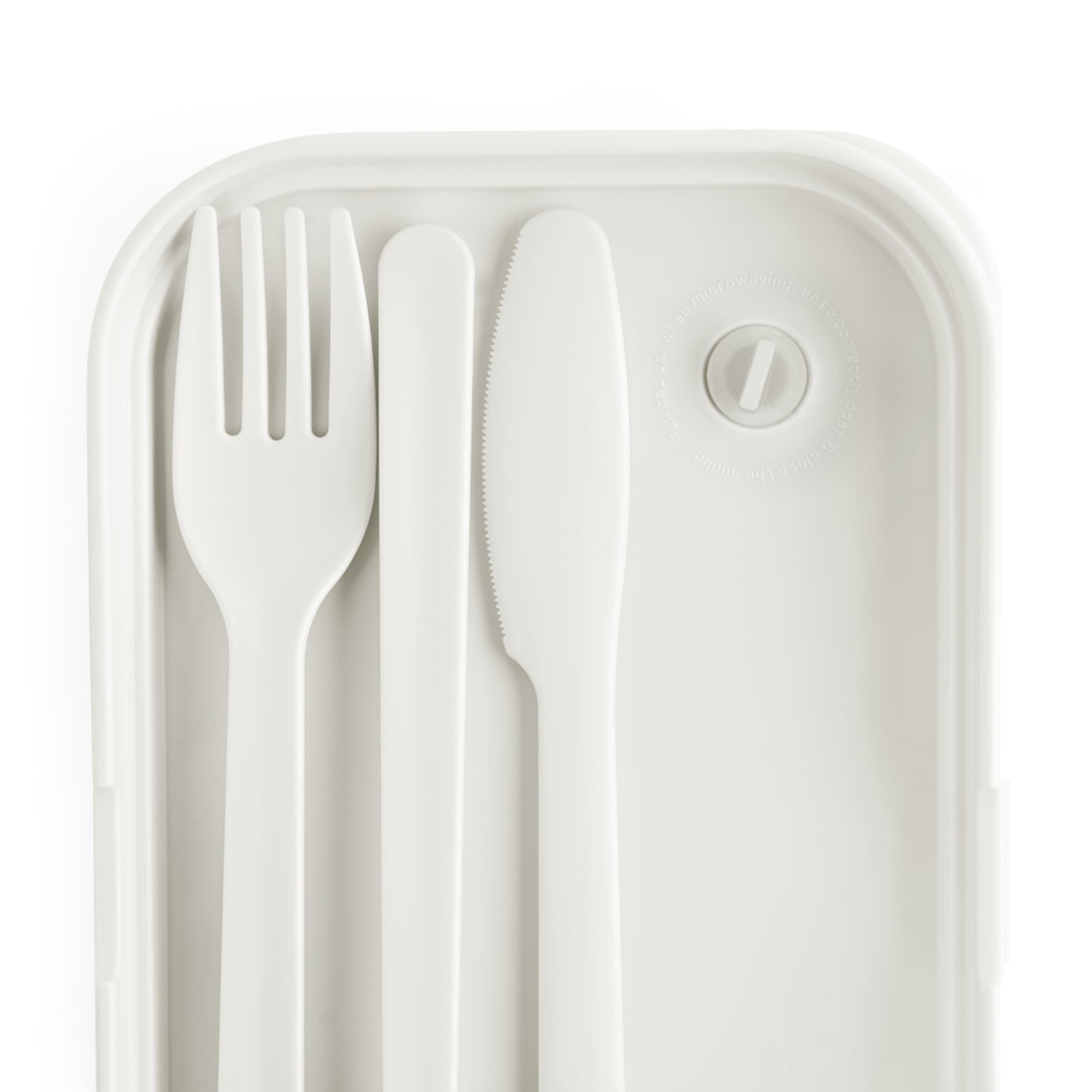 Generational Cycle Breaker: Lunch Box for Healthy, Fun, and Affordable Meals