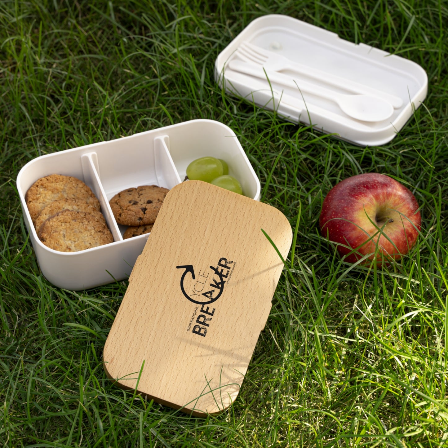 Generational Cycle Breaker: Lunch Box for Healthy, Fun, and Affordable Meals