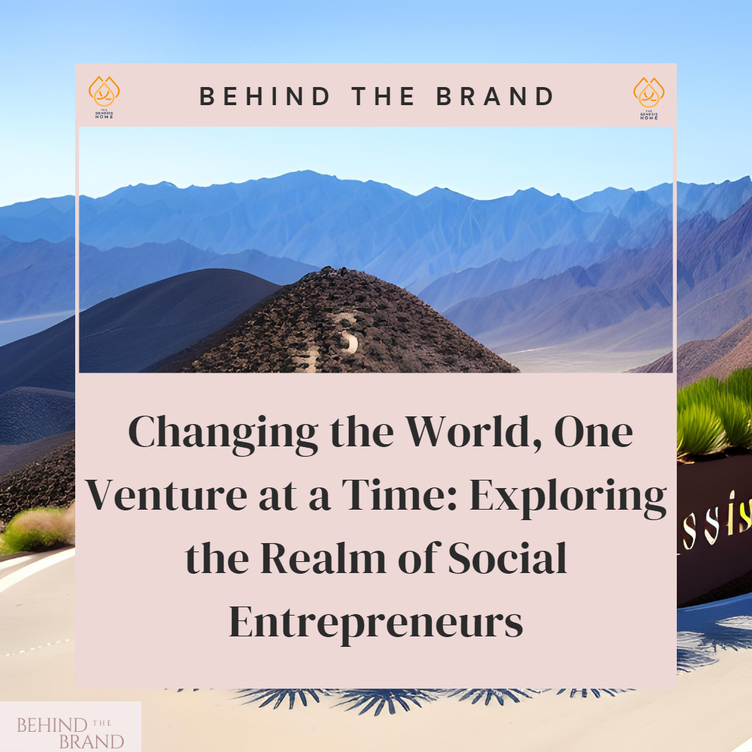 Changing the World, One Venture at a Time: Exploring the Realm of Social Entrepreneurs